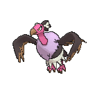 Gif animé vautour vole